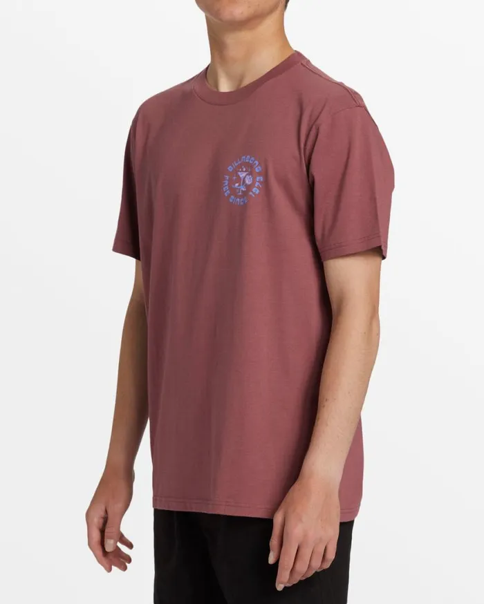 Billabong Passage TShirt Dusty Red Mens TShirts Billabong Passage TShirt Dusty Red Mens TShirts