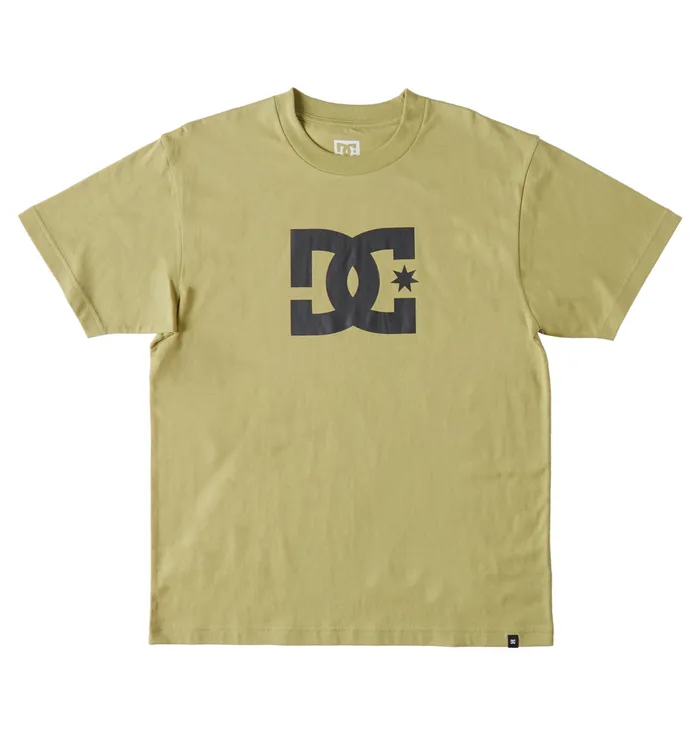 DC Shoes TShirts Men DC Star TShirt sage