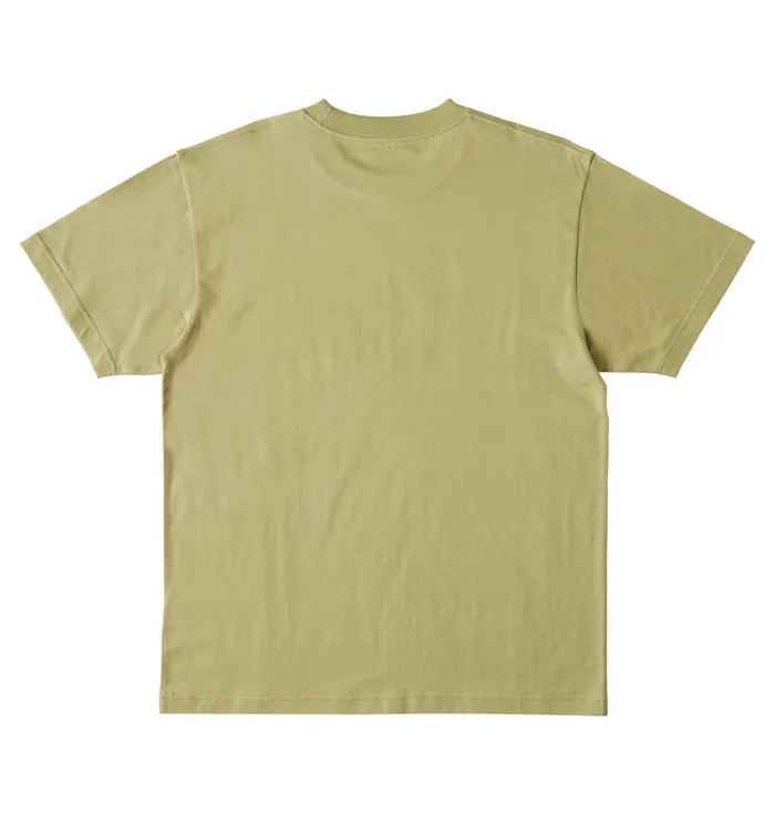 DC Shoes TShirts Men DC Star TShirt sage
