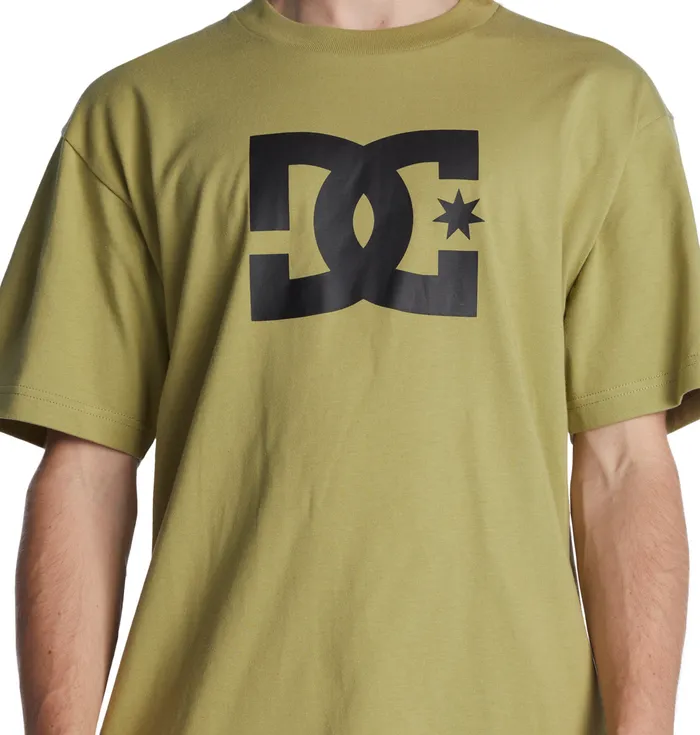 DC Shoes TShirts Men DC Star TShirt sage