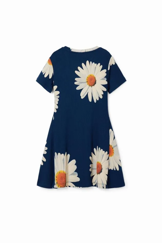 Dresses Kids Desigual Short Ribbed Daisy Dress Blue