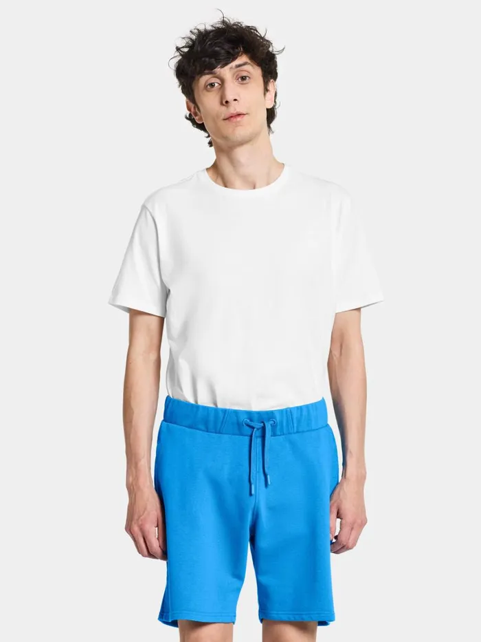 Fejan Shorts Sharp Blue Men Didriksons Shorts