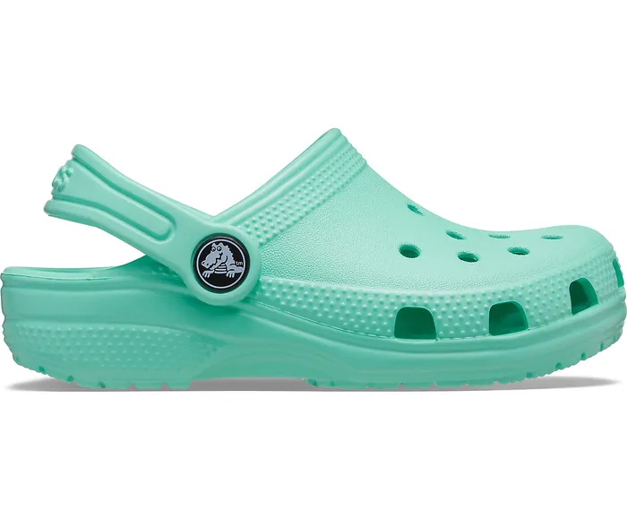 GirlsBoys Clogs Crocs Kids Classic Clog Pistachio