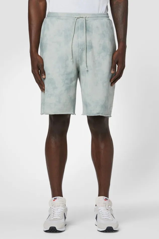 Hudson Jeans Shorts Darted Short Sage Dust 8211 Men
