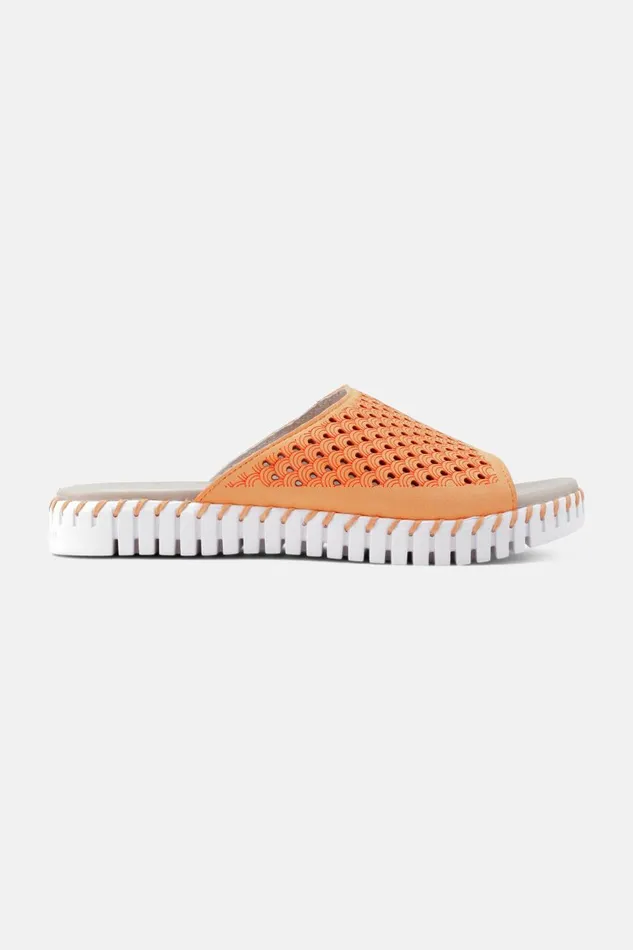 Ilse Jacobsen Sandals 8211 Mango Sorbet Women Sandals Ilse Jacobsen Sandals 8211 Mango Sorbet Women Sandals