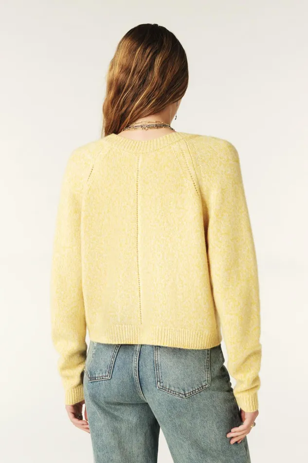 LongSleeved Cardigan Carila Brown Women Baandsh Sweaters and Cardigans