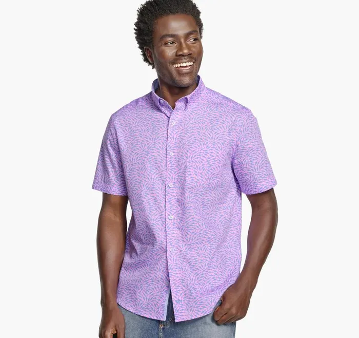Men Johnston and Murphy ShortSleeve Shirts Printed Cotton ShortSleeve Shirt Pink Swarming Shark Men Johnston and Murphy ShortSleeve Shirts Printed Cotton ShortSleeve Shirt Pink Swarming Shark