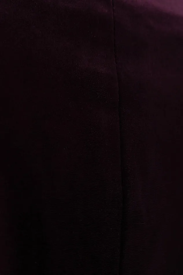 Petal and Pup Vera Velvet Blazer Plum Women Blazers