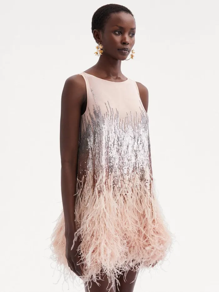 Sequin and Feather Embroidered Dress Blush Women Oscar De La Renta Dresses