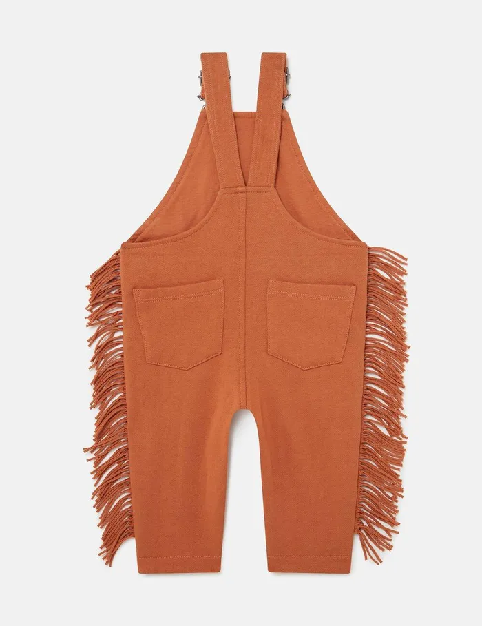 Stella McCartney Baby Boys Kids Horse Graphic Fringed Overalls Brown