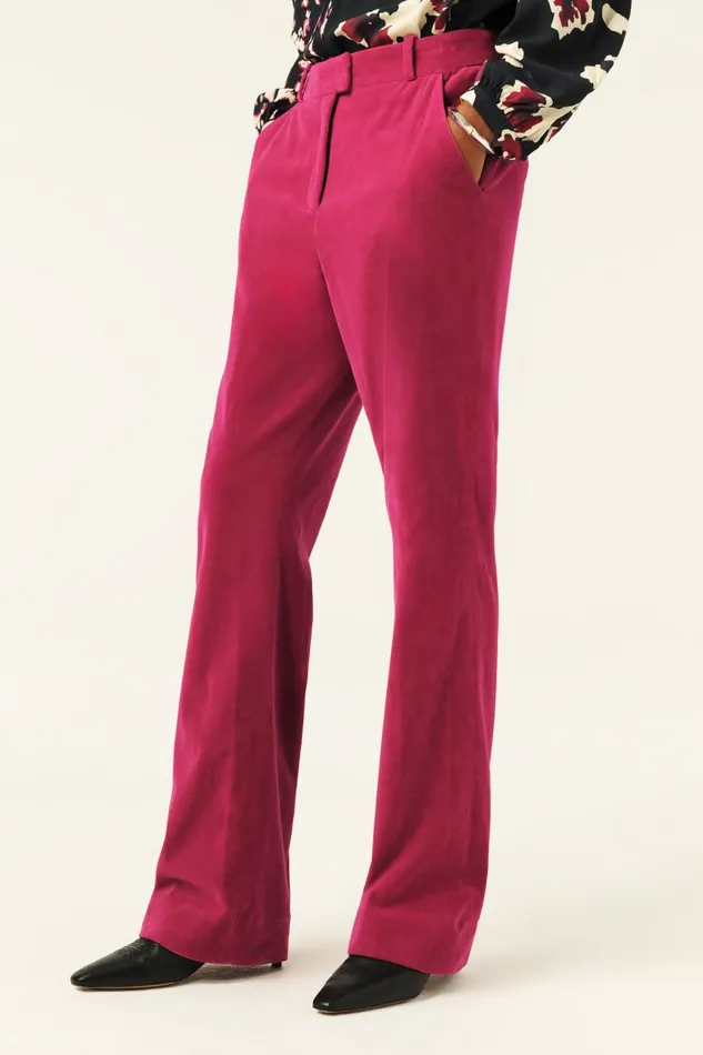 StraightLeg Velvet Pants Babilon Pink Women Baandsh Pants and Jeans