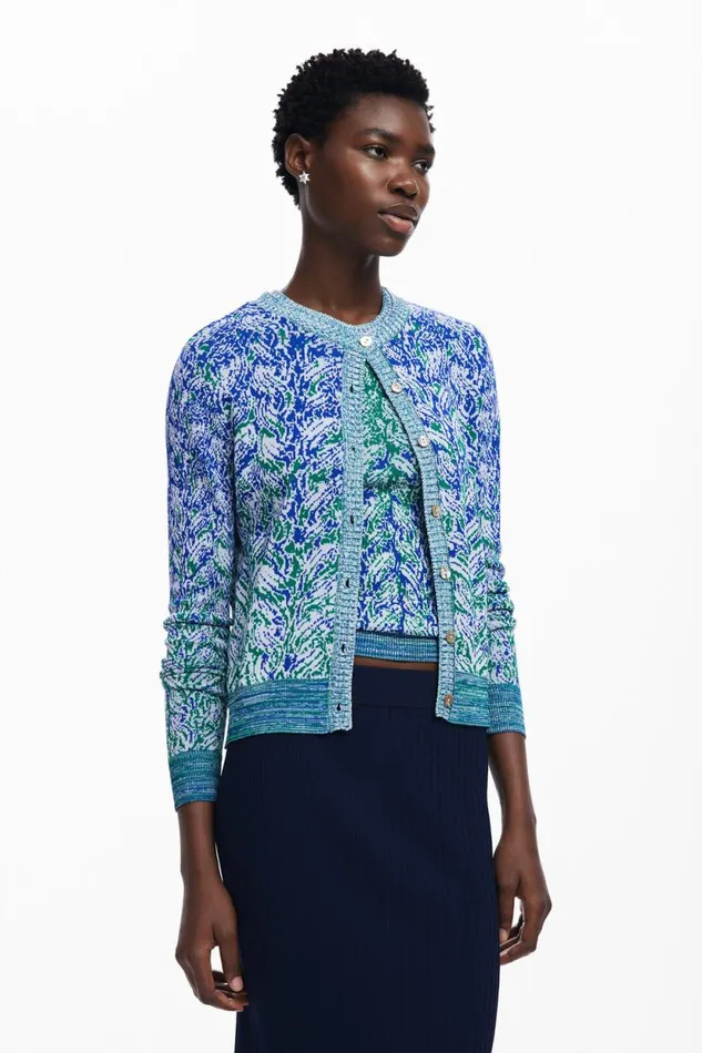 Sweaters Women Desigual Jumper Blue