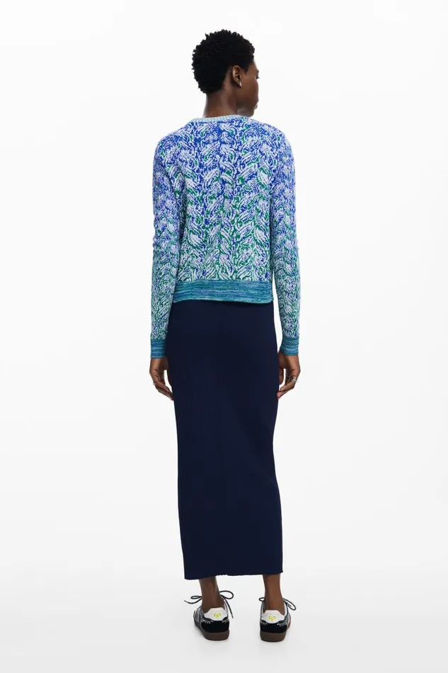 Sweaters Women Desigual Jumper Blue