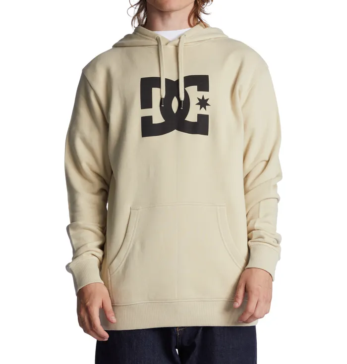 Sweatshirts and Hoodies DC Star Hoodie overcast 8211 DC Shoes Men