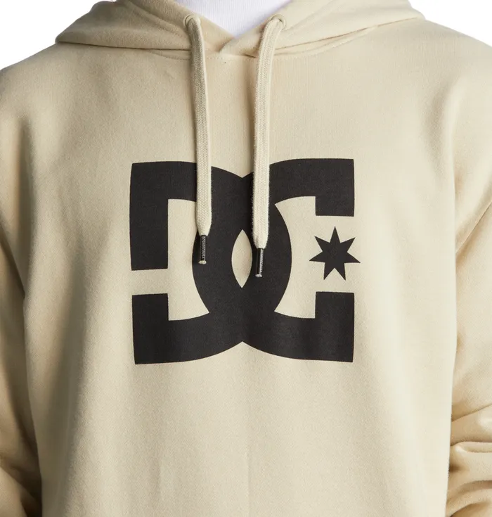 Sweatshirts and Hoodies DC Star Hoodie overcast 8211 DC Shoes Men