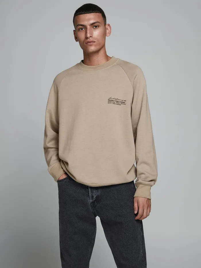 Sweatshirts JACK and JONES Mens BOXY FIT SWEATSHIRT Beige Chinchilla Gift Ideas