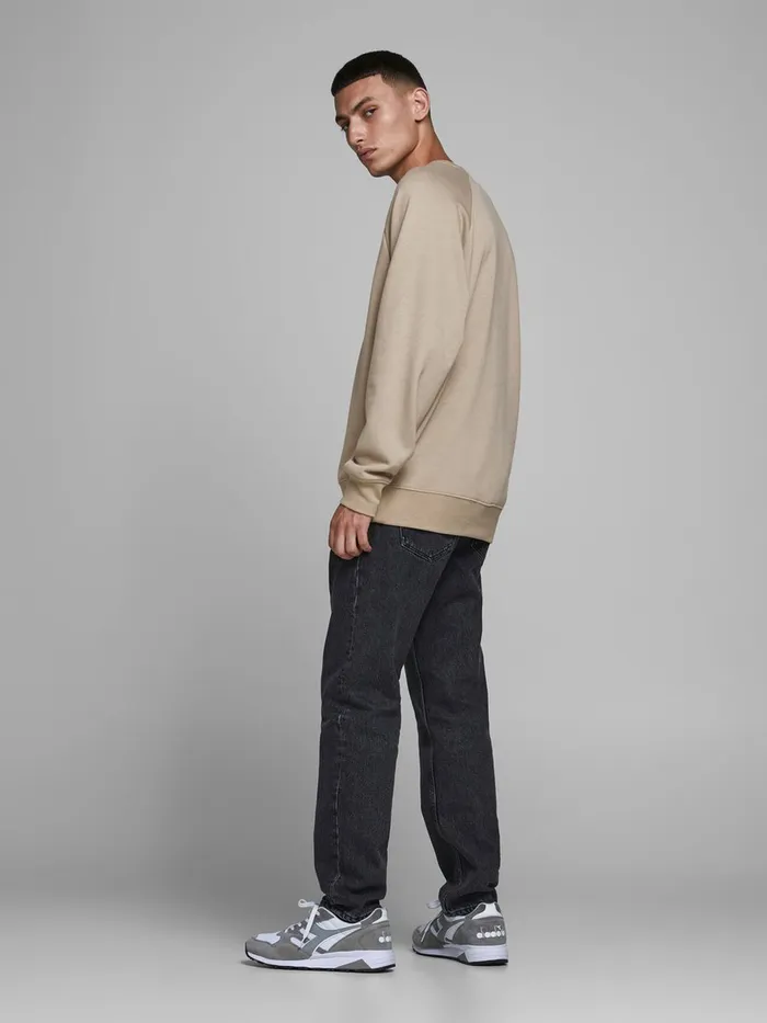 Sweatshirts JACK and JONES Mens BOXY FIT SWEATSHIRT Beige Chinchilla Gift Ideas