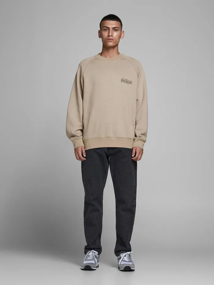 Sweatshirts JACK and JONES Mens BOXY FIT SWEATSHIRT Beige Chinchilla Gift Ideas