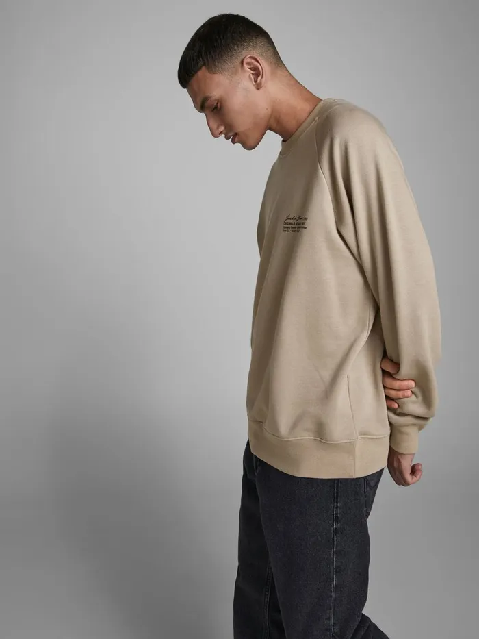 Sweatshirts JACK and JONES Mens BOXY FIT SWEATSHIRT Beige Chinchilla Gift Ideas
