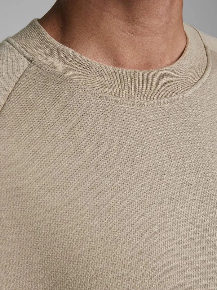 Sweatshirts JACK and JONES Mens BOXY FIT SWEATSHIRT Beige Chinchilla Gift Ideas