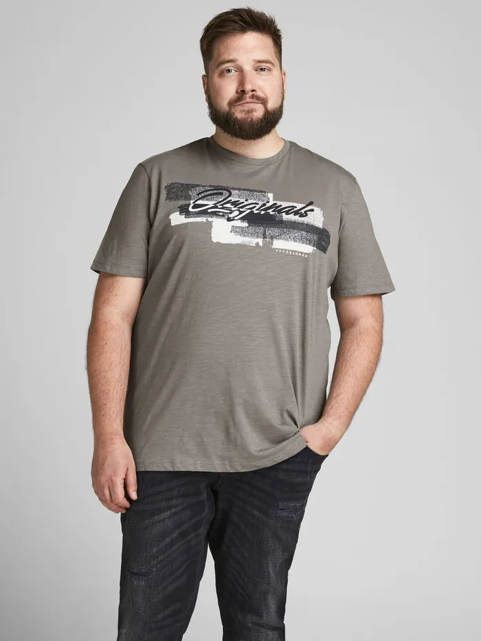 Tshirts JACK and JONES Mens BRUSH STROKE LOGO PLUS SIZE TSHIRT Green Sedona Sage Gift for Friend Tshirts JACK and JONES Mens BRUSH STROKE LOGO PLUS SIZE TSHIRT Green Sedona Sage Gift for Friend