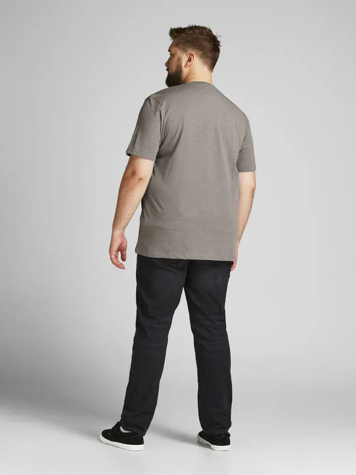 Tshirts JACK and JONES Mens BRUSH STROKE LOGO PLUS SIZE TSHIRT Green Sedona Sage Gift for Friend