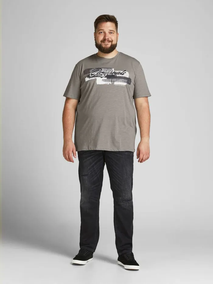 Tshirts JACK and JONES Mens BRUSH STROKE LOGO PLUS SIZE TSHIRT Green Sedona Sage Gift for Friend