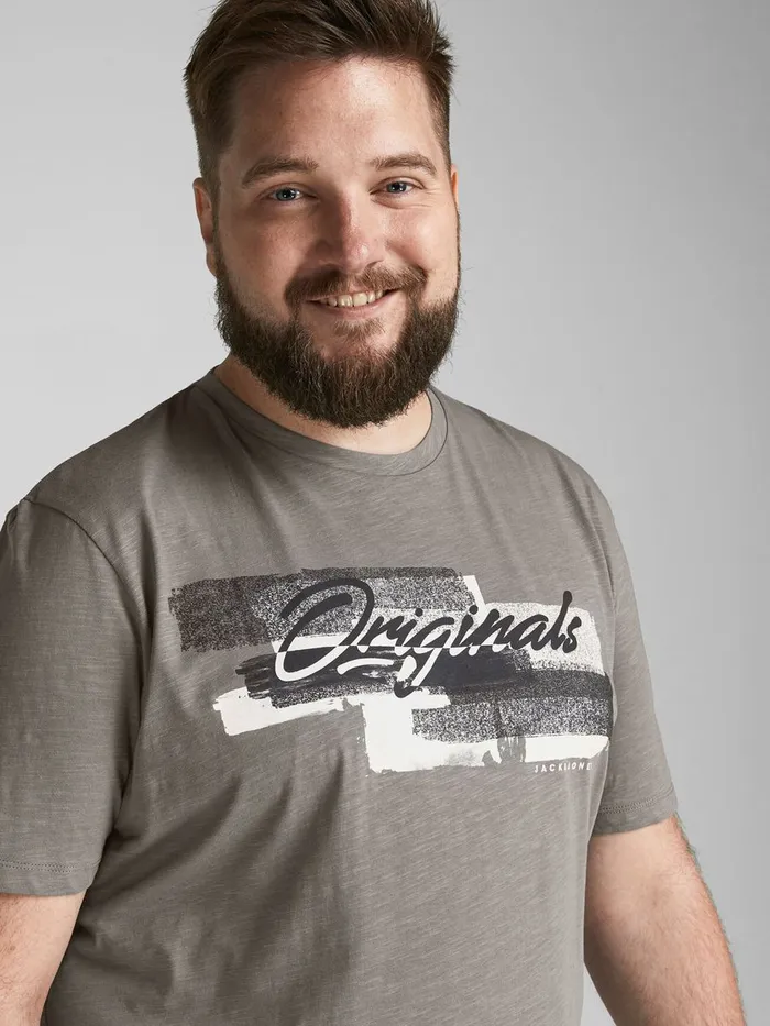 Tshirts JACK and JONES Mens BRUSH STROKE LOGO PLUS SIZE TSHIRT Green Sedona Sage Gift for Friend