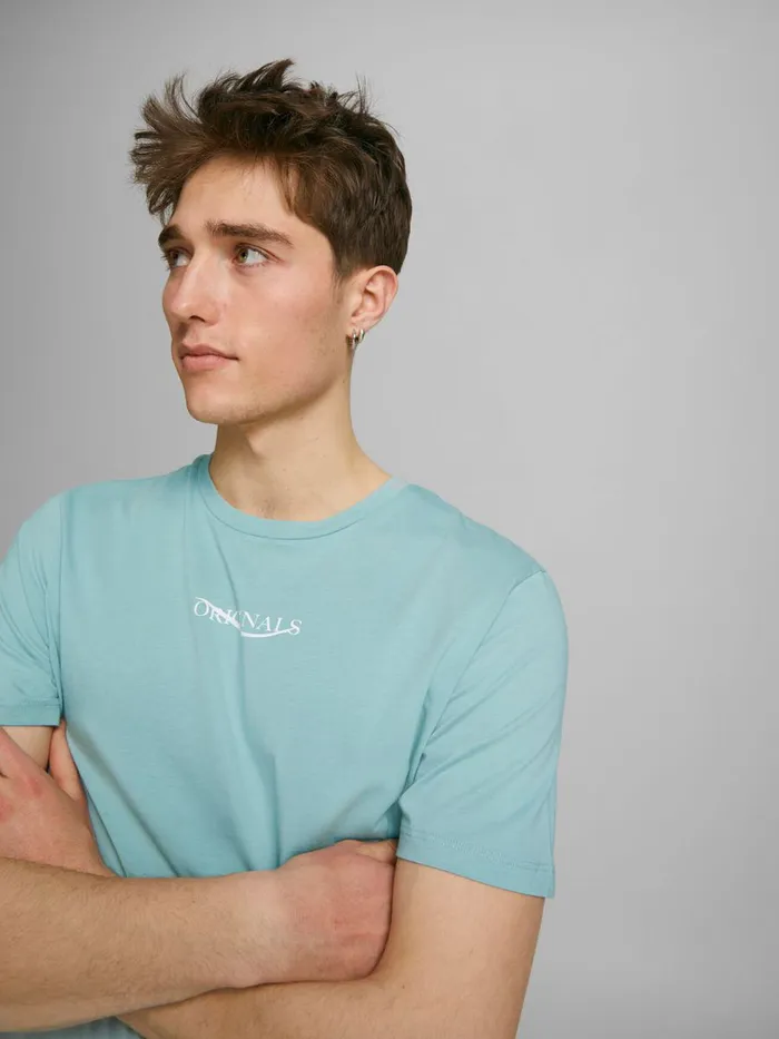 Tshirts JACK and JONES Mens REGULAR FIT TSHIRT Blue Blue Surf Gift 4 You