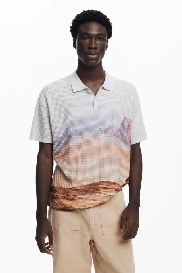 Tshirts Men Desigual Landscape Tshirt Brown