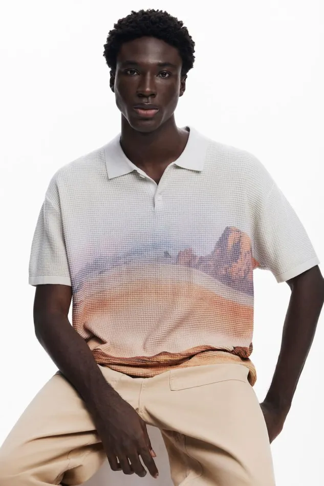 Tshirts Men Desigual Landscape Tshirt Brown