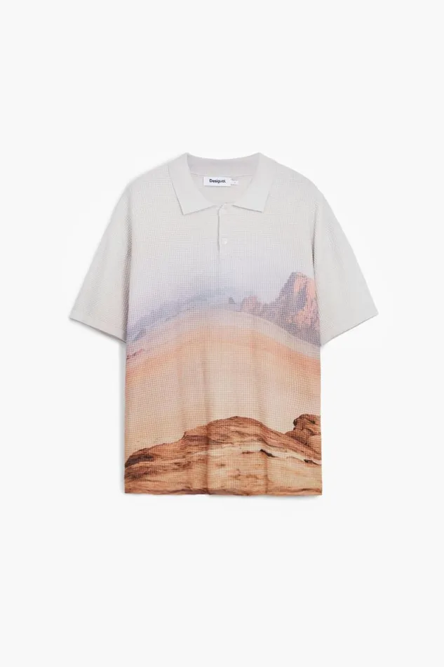 Tshirts Men Desigual Landscape Tshirt Brown