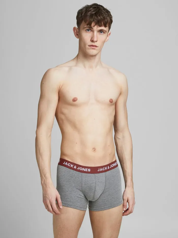 Underwear JACK and JONES Mens 2PACK TRUNKS Grey Rosewood Gift for Friend