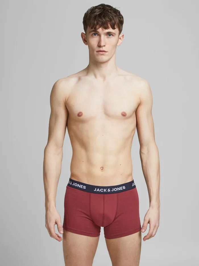 Underwear JACK and JONES Mens 2PACK TRUNKS Grey Rosewood Gift for Friend