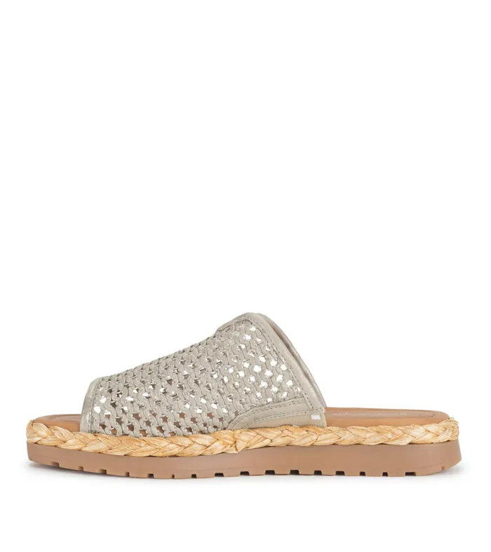 Women Baretraps Slides and Slip On Sandals Tasmine Slide Sandal Champagne