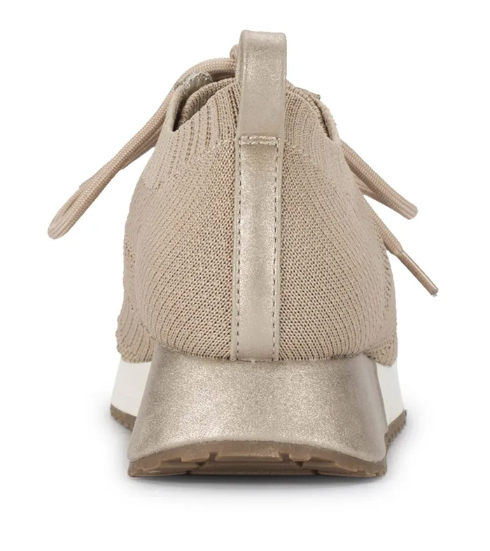 Women Baretraps Slipon Sneakers Palta Sneaker Champagne