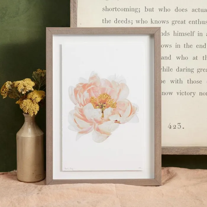 Women Peony Studies Prints Coral Sundance Catalog Decor Women Peony Studies Prints Coral Sundance Catalog Decor