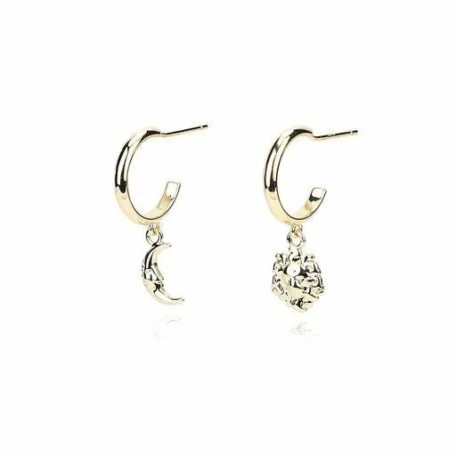 Women Vintage Havana Earrings HARMONY EARRINGS